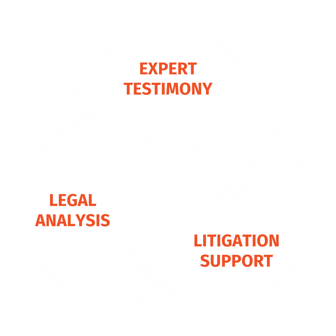 Insurance Adjuster Support
